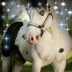 Meet your Posher, Ramiro